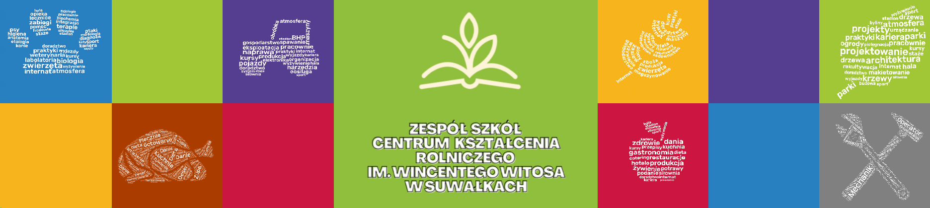1a.png